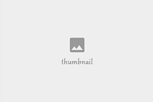 Cannabis Seeds Marijuana Seeds