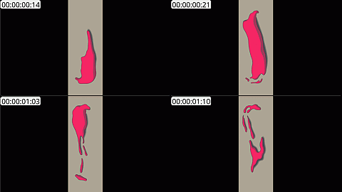 AE模板 缠绕动画 Bodywrap 49