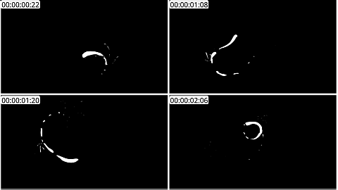 AE模板 手绘线条元素 Flash FX Abstract Shapes | After Effects 05