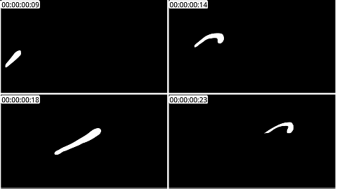 AE模板 手绘线条元素 Flash FX Abstract Shapes | After Effects 08