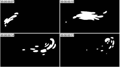 AE模板 手绘液体运动形状线条 Liquid Motion Shapes | After Effects 09