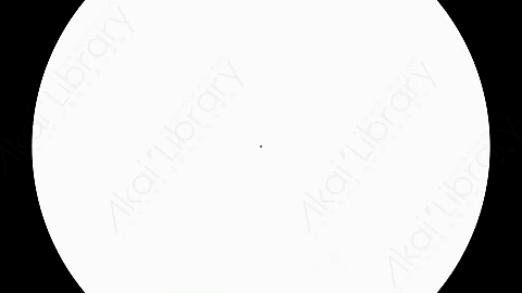 AE模板-Basic-Circles-17扁平MG运动图形线条转场过渡动画