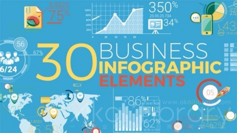 AE模板-30个商业信息图形元素-30 Business Infographic Elements