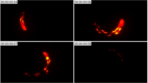 AE模板 手绘火焰元素 Hand Drawn FIRE Elements | After Effects 10