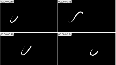 AE模板 手绘线条元素 Hand Drawn Flying Lines | After Effects 01