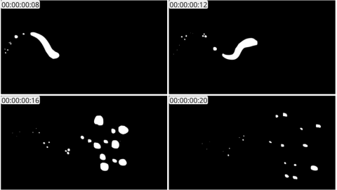 AE模板 手绘液体飞溅动画元素 Splash Animated Elements | After Effects 02