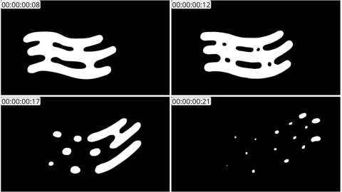 AE模板 手绘液体形状线条 Liquid Shapes And Titles 04