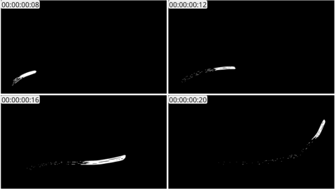 AE模板 手绘线条元素 Hand Drawn Flying Lines | After Effects 07