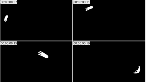 AE模板 手绘线条元素 Hand Drawn Flying Lines | After Effects 09