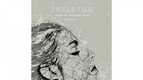 PS动作-Plexus艺术Skeletum – Plexus Art Photoshop Action