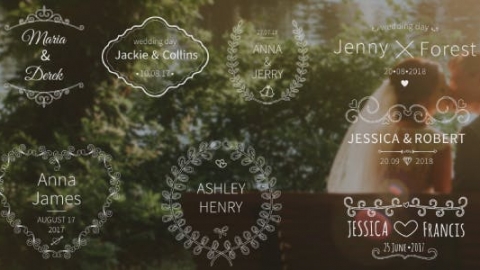 AE模板 婚礼标题 Wedding Titles