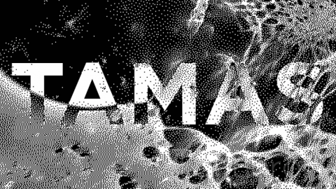 视频素材 2K抽象创意视频Tamas