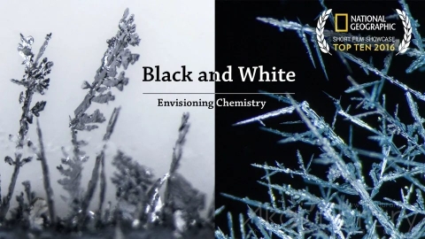 视频素材 1080P科学反应创意视频Envisioning Chemistry  Black (Lead) and White (Silver)
