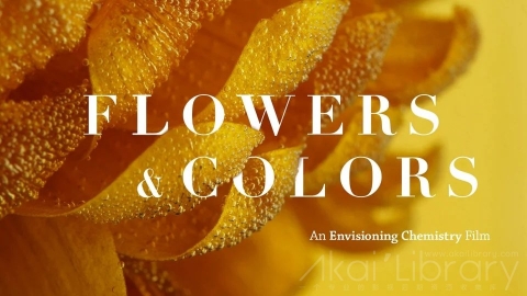 视频素材 1080P科学反应创意视频Envisioning Chemistry  Flowers & Colors