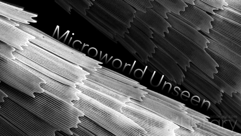 视频素材 1080P科学反应创意视频Microworld Unseen  Chapter 01 Pale Grass Blue