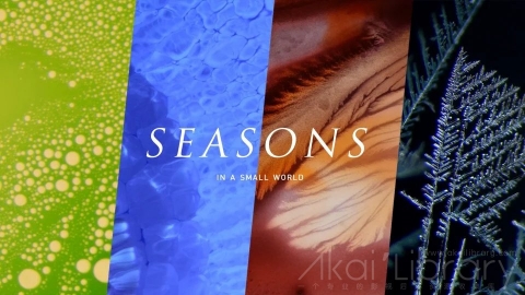 视频素材 1080P科学反应创意视频SEASONS   in a Small World