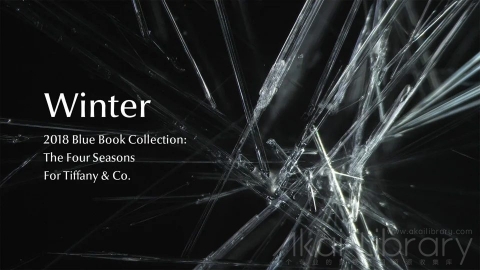 视频素材 1080P科学反应创意视频Winter   2018 Blue Book Collection  The Four Seasons, for Tiffany & Co.