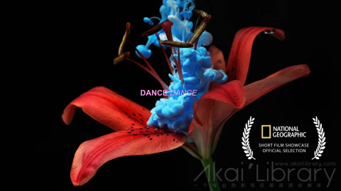 视频素材 4K植物开花结冰创意视频DANCE DANCE