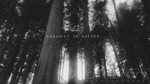视频素材 4K自然风光宣传片HARMONY IN NATURE  4k