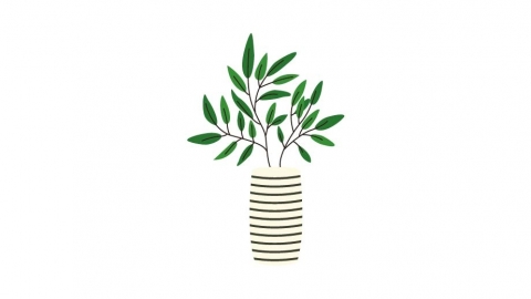 图片素材 扁平盆栽绿植植物 11
