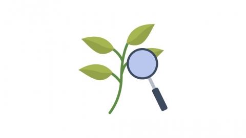 图片素材 扁平中药草药保健医疗 8