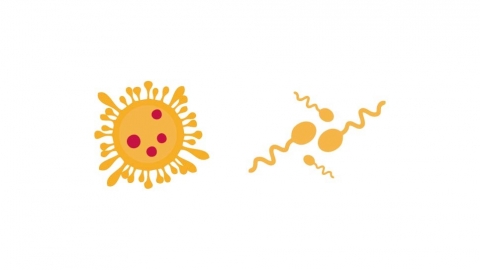 图片素材 扁平病毒细菌病菌医疗 3