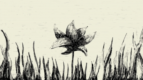 创意参考视频 手绘动画创意短片Le Silence de la rue