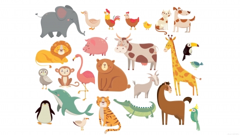 图片素材-扁平化插画动物角色包平面卡通图形插画MG动画二维矢量素材包元素