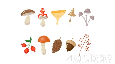 图片素材 扁平果实坚果蘑菇插画道具-50