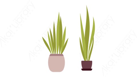 图片素材 扁平绿植花盆家居日常生活道具-41