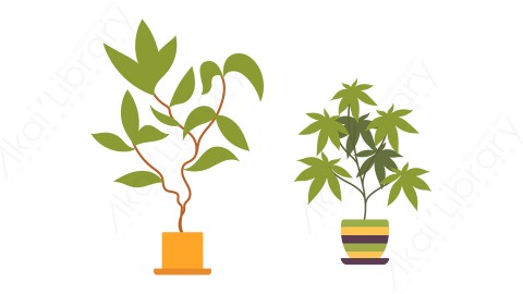 图片素材 扁平绿植花盆家居日常生活道具-43