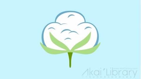 图片素材 扁平植物棉花-10
