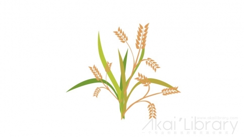 图片素材 扁平水稻大米粮食农作物农业-06