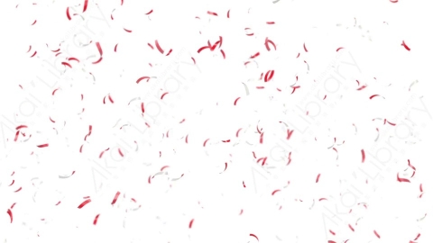 视频素材 喷射爆开彩带纸屑动画视频素材wedding-confetti-2