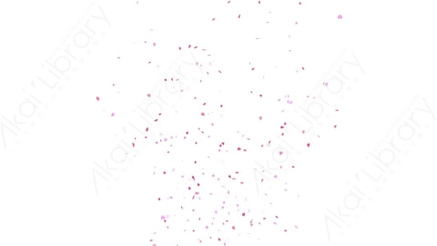 视频素材 喷射心形五彩纸屑彩带庆贺恭喜视频素材confetti-hearts-02