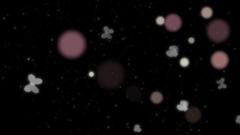 视频素材 前景蝴蝶花朵浪漫合成屏幕视频素材-butterflies overlay01