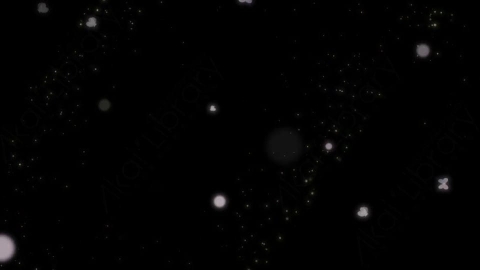 视频素材 前景蝴蝶花朵浪漫合成屏幕视频素材-butterflies overlay02