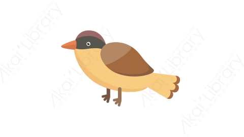 AE模板 04-bird-1小鸟MG扁平卡通动物元素图标