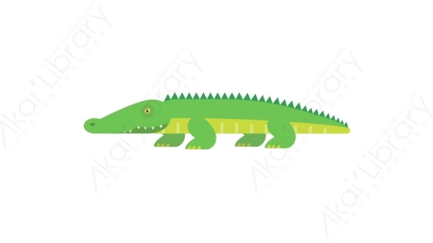 AE模板 08-crocodile鳄鱼MG扁平卡通动物元素图标