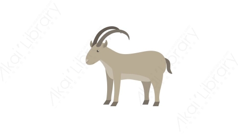 AE模板 28-goat山羊MG扁平卡通动物元素图标