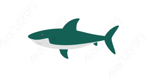 AE模板 50-shark鲨鱼MG扁平卡通动物元素图标
