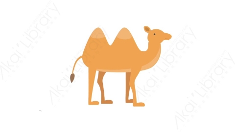 AE模板 60-camel骆驼MG扁平卡通动物元素图标
