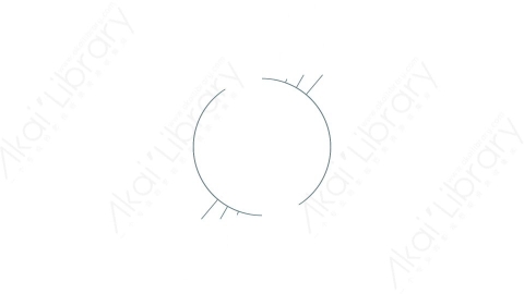 AE模板 11-motion-shape-11运动图形线条动画装饰元素