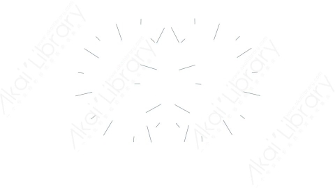 AE模板 12-motion-shape-12运动图形线条动画装饰元素