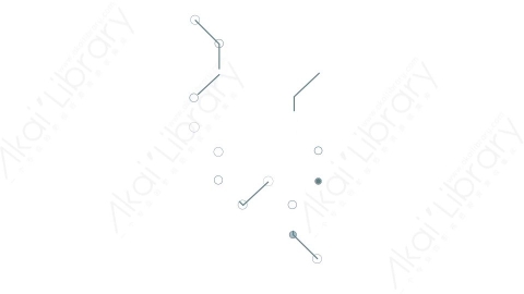 AE模板 31-motion-shape-31运动图形线条动画装饰元素