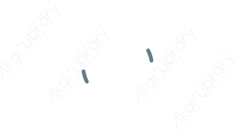 AE模板 41-motion-shape-41运动图形线条动画装饰元素