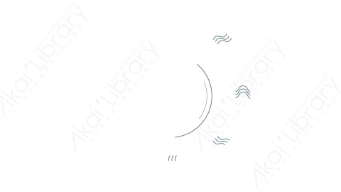 AE模板 66-motion-shape-66运动图形线条动画装饰元素