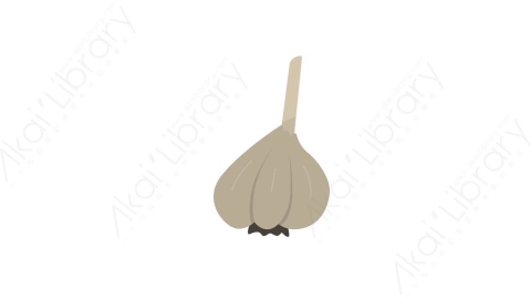 AE模板 31-garlic大蒜蔬菜MG扁平卡通食物蔬菜水果元素图标