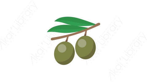 AE模板 53-olive橄榄果子MG扁平卡通食物蔬菜水果元素图标