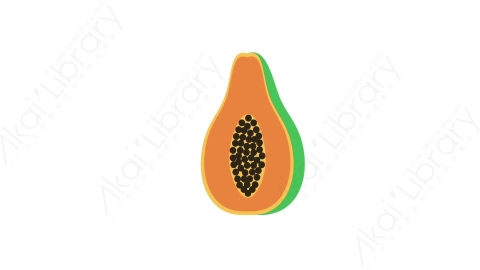 AE模板 57-papaya木瓜水果MG扁平卡通食物蔬菜水果元素图标